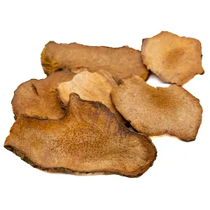 Rhizoma Smilacis Glabrae สารสกัดสำคัญใน Dermaxil